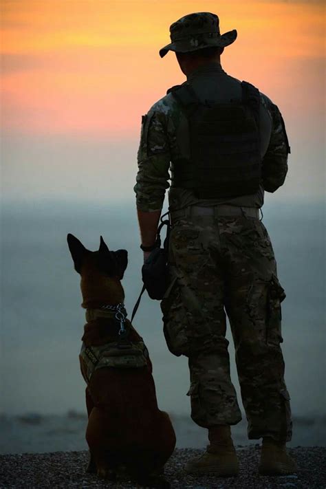 Pin By Caro Mac On Dogs Army Dogs Military Art Military Dogs