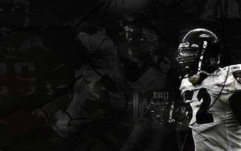 NFL Wallpapers: Ray Lewis - Baltimore Ravens