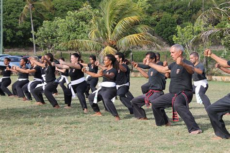 Viet Vo Dao Song Long Antilles École d arts martiaux traditionnels