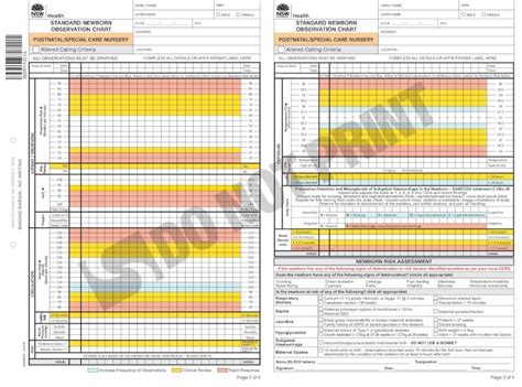 Pdf Standard Newborn Observation Chart Dokumentips