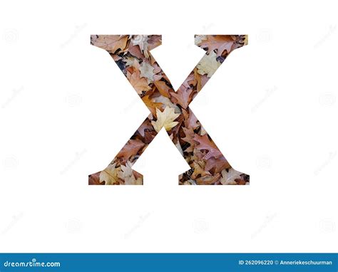 Letter X Of The Alphabet Made With Autumn Brown Oak Leaves Stock Photo