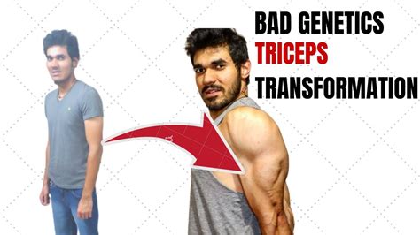 Build Big Triceps Even With Bad Genetics Naturally Youtube