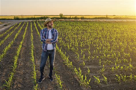 Exportación y Comercialización Productos Agrícolas Grupo