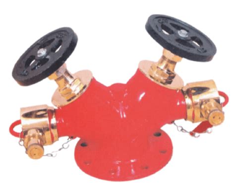 Gun Metal Double Outlet Landing Valve Size 63 Mm At 4950 In Ahmedabad