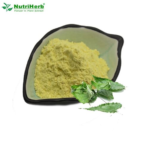 Premiun Product Icariin Powder Epimedium Extract China