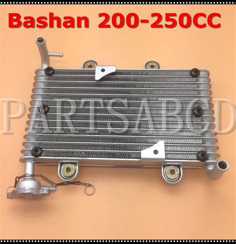 Bashan 200CC 250CC ATV Quad Radiator For Bashan 200 250CC ATV In ATV