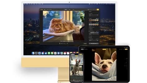 Cách Thay đổi điểm Lấy Nét Của ảnh Chân Dung Trong Ios 17 M Pick Studio