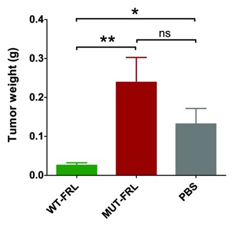 The Antitumor Activity Of The Human Folr1 Specific Monoclonal Antibody