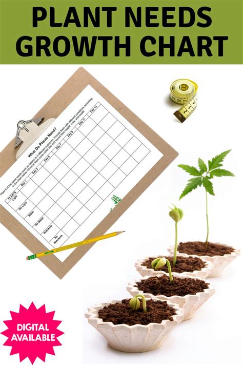 What Do Plants Need?- Plant Growth Chart- 2nd, 3rd, 4th, 5th- DIGITAL ...