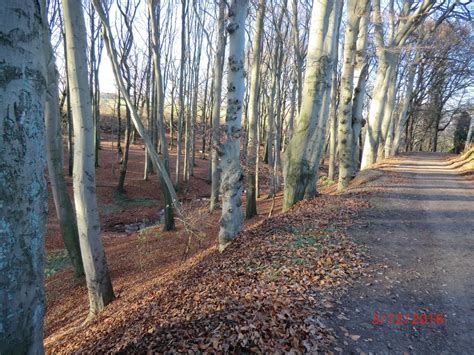 Trekkingbike Von Marl Zur Gr Nen Acht Tour