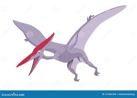 Ejemplo Del Vector Del Pterod Ctilo Aislado En El Fondo Blanco