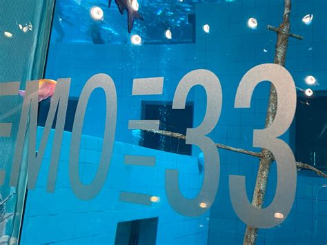 Nemo 33 Brussels All You Need To Know Before You Go