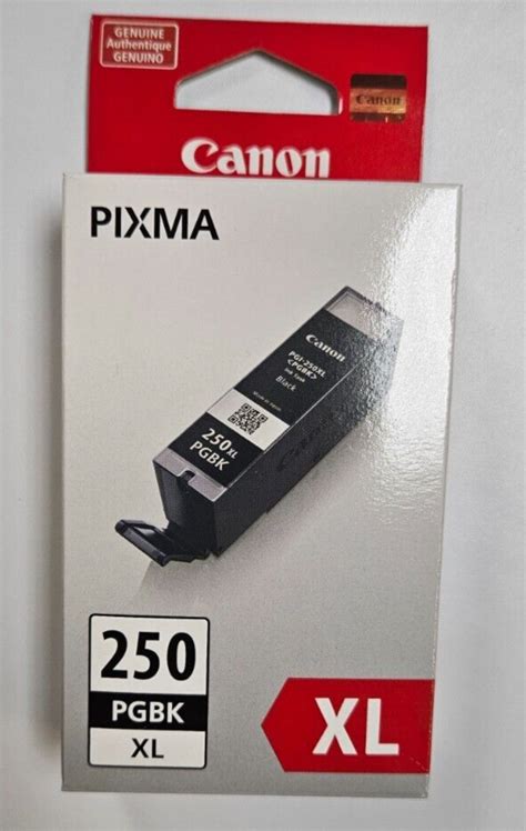 Genuine Oem Canon Pixma Xl Pgi Xl Pgbk Ink Cartridge Ebay