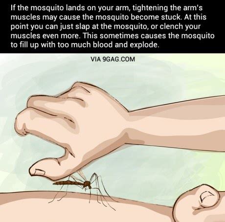 Thumbs Pro Welele Si Un Mosquito Se Posa En Tu Brazo Y Endureces