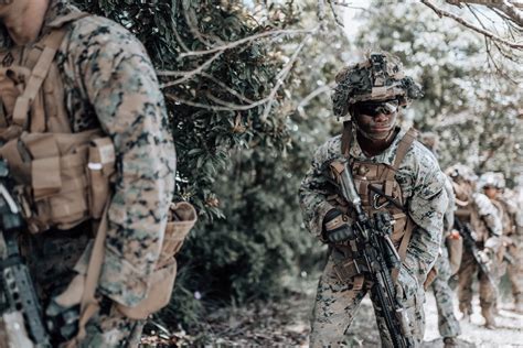 Dvids Images St Battalion Th Marine Regiment Conducts Live Fire