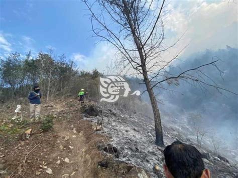 Incendio Forestal Consume Hect Reas En La Zona Centro De Veracruz