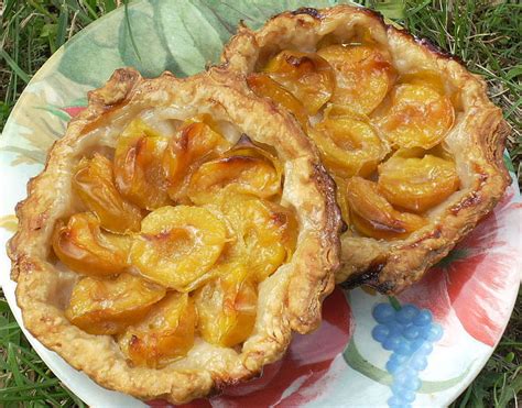 Recette De Tartelettes Aux Mirabelles La Recette Facile