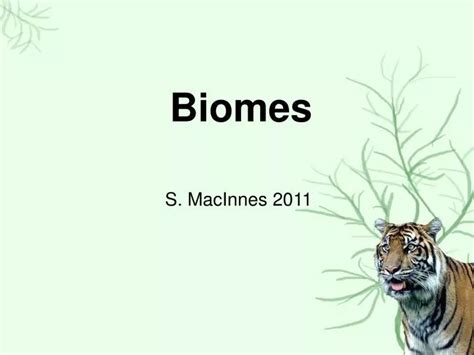 Ppt Biomes Powerpoint Presentation Free Download Id 6573943