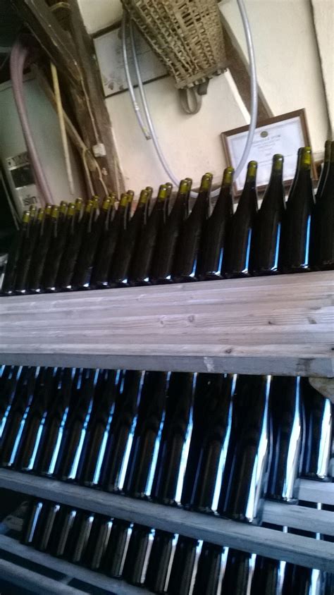 WP_20140902_017 | Vins d'Alsace Kamm