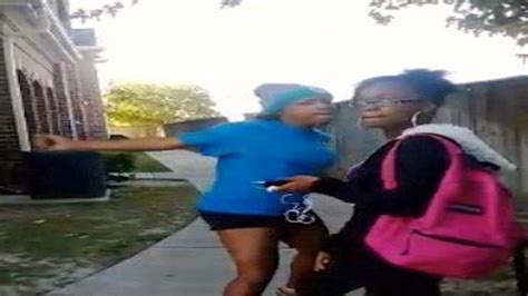 Sharkeisha Fight Video: Image Gallery (List View) | Know Your Meme