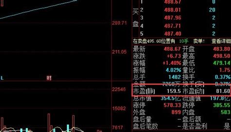 市盈率动态是啥？静态市盈率和动态市盈率有什么区别赢家财富网