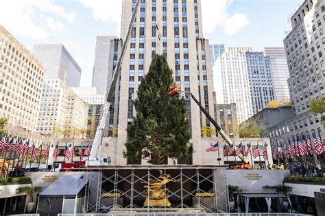 Votre Guide Pour L Illumination Du Rockefeller Center 2024 2025