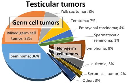 Germ cell tumor - Wikipedia