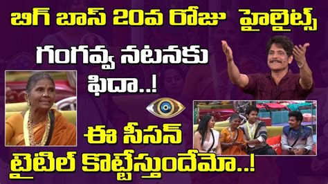 Bigg Boss Telugu Day Highlights Latest Bigg Boss Telugu News And