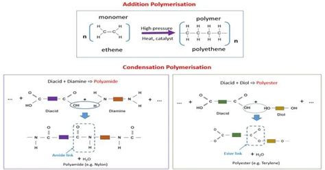 Condensation Polymers - Assignment Point