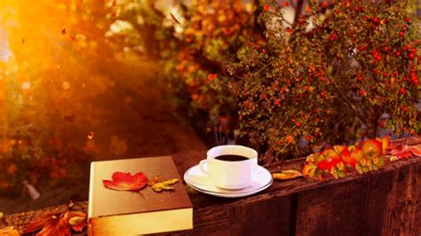 Coffee Fall GIF - Find & Share on GIPHY