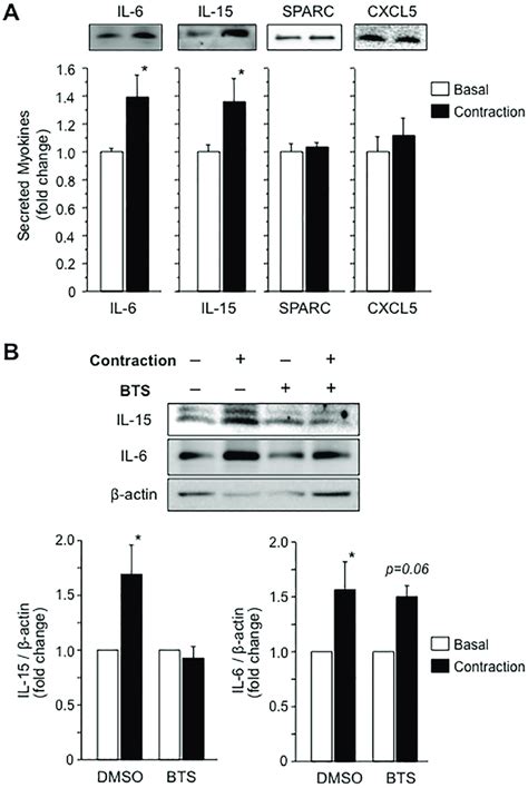 Regulation Of Myokine Secretion In Response To A Hour Muscle