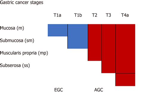 Gastric cancer staging. EGC: Early gastric cancer; AGC: Advanced ...