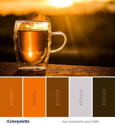 Color Palette Ideas from Drink Glass Beer Image | iColorpalette