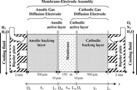 Schematic Description Of The Pemfc Single Cell Download Scientific