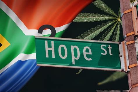 The Presidency Unveils New Structure to Align Cannabis Stakeholders on