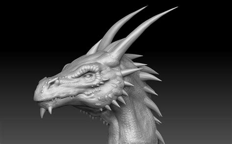 Dragon Head Sculpt By Akiratang On Deviantart