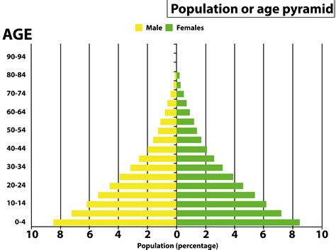 Age Pyramid Types