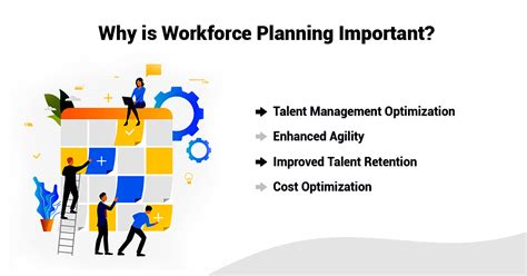 Revolutionize Your Talent Management Strategy With Workforce Planning Tmi