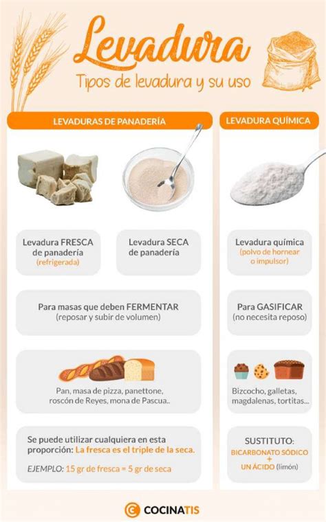 Levadura Tipos De Levadura Y Diferentes Usos