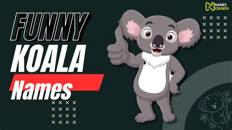 320+ Funny Koala Names [Clever Ideas] - Names Crunch