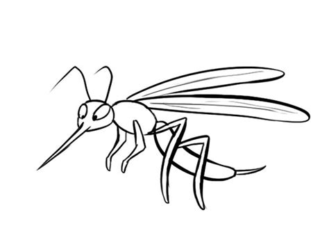 Dibujo De Un Mosquito Im Genes De Insectos Para Colorear Imagenes De