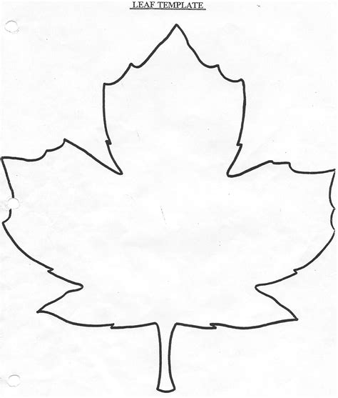 Maple Leaf Outline Printable