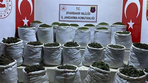 Diyarbakırda 783 kilo esrar 23 bin kök Hint keneviri ve skunk bitkisi