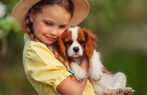 Cachorro Pequeno Para Crianca - 10 raças de cães pequenos que se dão bem com crianças - Meu Valor ...