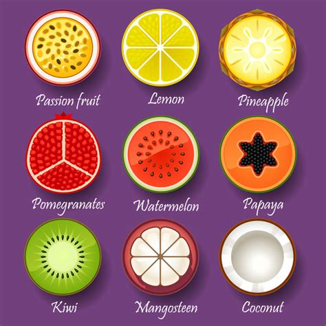 Fruit slice collections Vectors graphic art designs in editable .ai ...