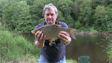 Bream Special Fishing With Raymond On The Creuse Youtube