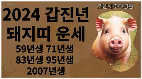 2024 갑진년 돼지띠 운세59년생 71년생 83년생 95년생 2007년생타로 철학관 사주 운세 대구점집