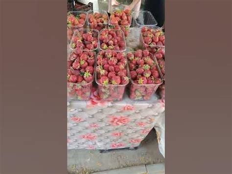 Полтава | Сколько стоит сейчас клубника 🍓? 9.06.2023 - YouTube