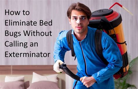 How To Eliminate Bed Bugs Without Calling An Exterminator