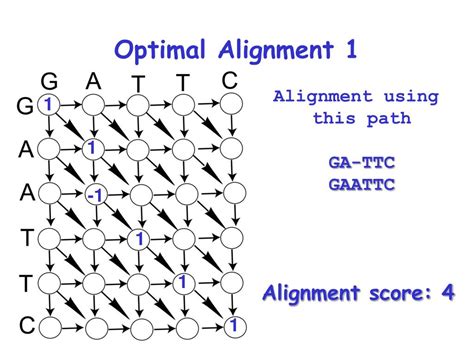 Ppt Multiple Sequence Alignment Powerpoint Presentation Free